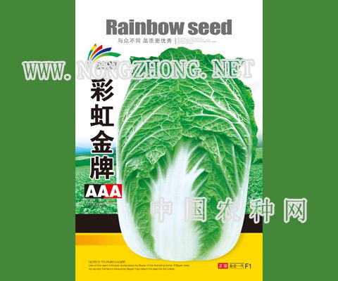 彩虹金牌aaa